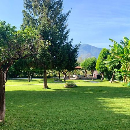 Villa Josette Sant'Egidio del Monte Albino ภายนอก รูปภาพ